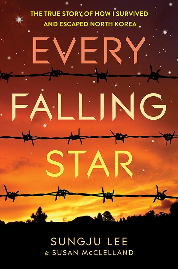 Every Falling Star cover